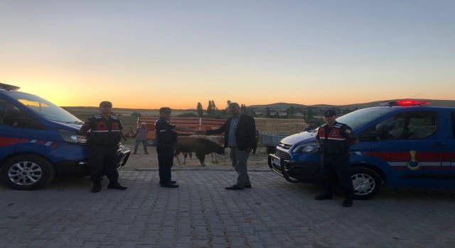 Aksaray’dan çaldılar Koçhisar’a götürdüler