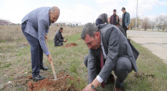 Depremde Ölen ASÜ’lüler İçin Fidan Dikildi