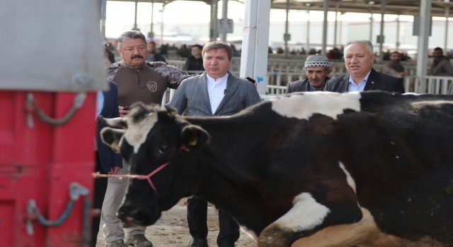 Vali Aydoğdu Hergün Vatandaşın Arasında