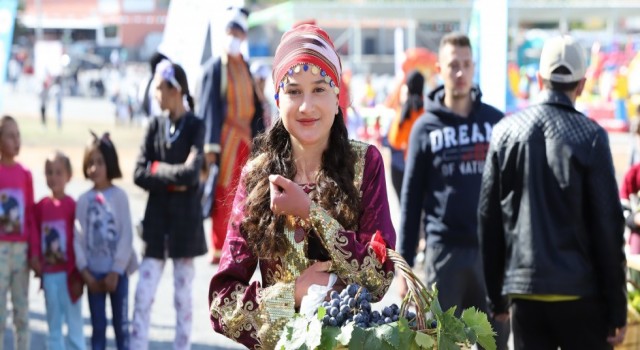 Bağ Bozumu Festivali Pazar Günü Yapılacak