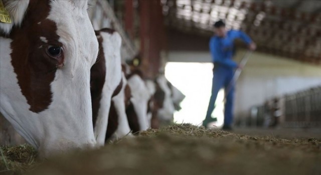 Tarımsal Girdide En Çok Veteriner Harcamaları Arttı