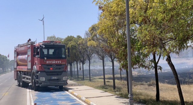 ASÜ’deki Ot Yangını Korkuttu