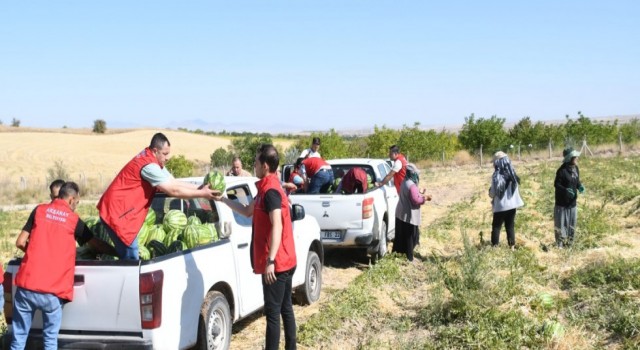 Belediye Üreticinin Yanında