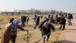 Yeşil ASÜ İçin Fidanlar Toprakla Buluştu