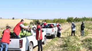 Belediye Üreticinin Yanında